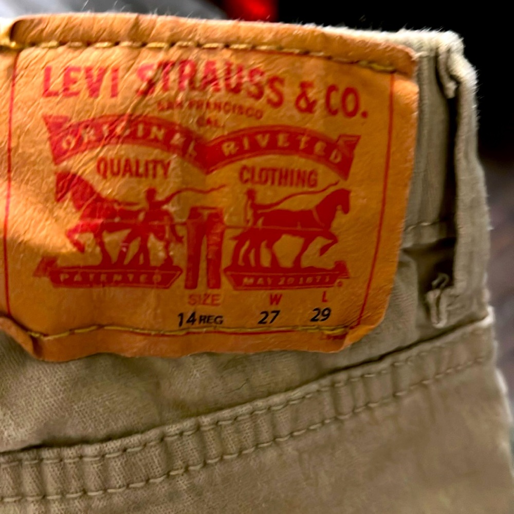 Levi pull on pants size L 14y
